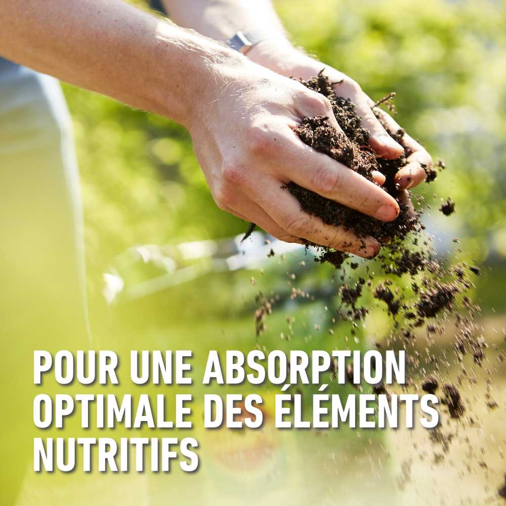 COMPO Amendement du Sol Gazon — free download